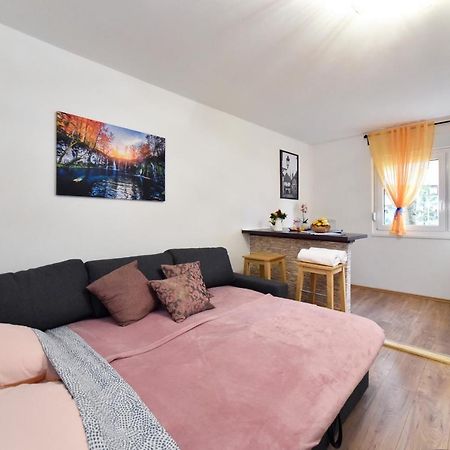 Studio Apartment Aneta 萨格勒布 外观 照片