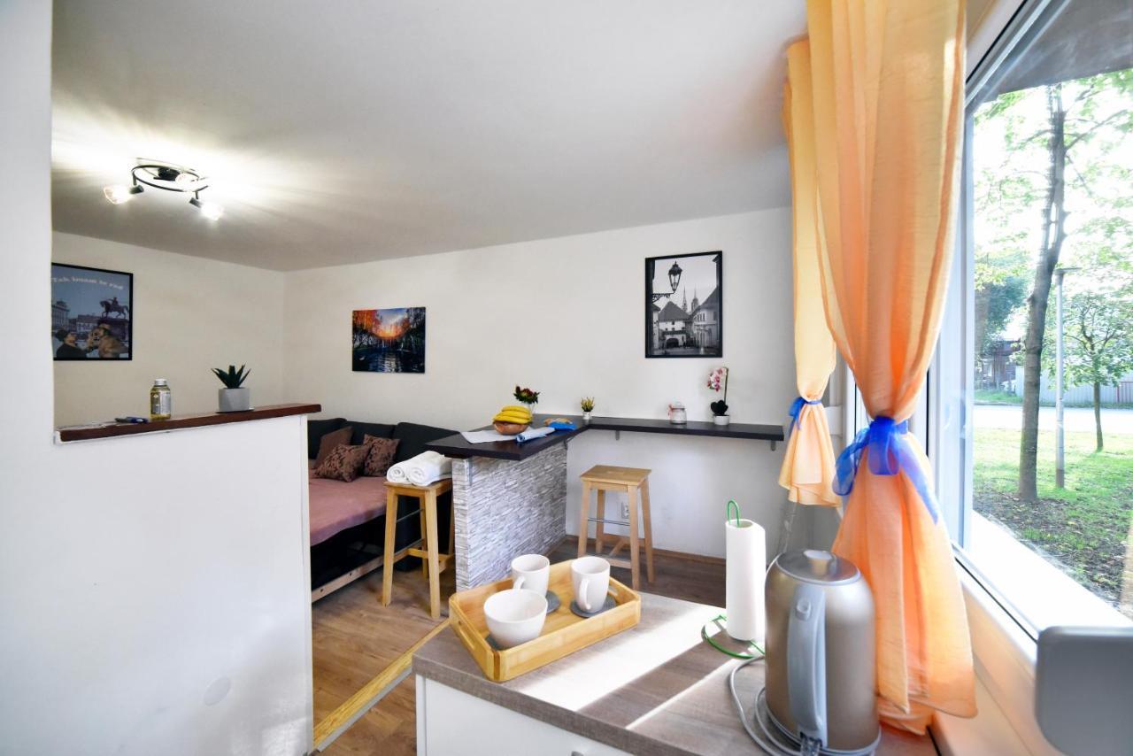 Studio Apartment Aneta 萨格勒布 外观 照片
